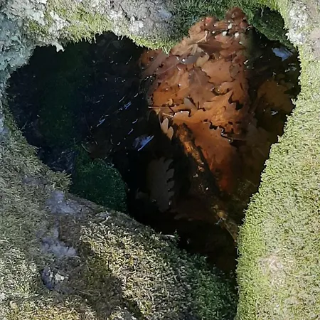 Il Nido Di Montagna Apartman Pian degli Ontani